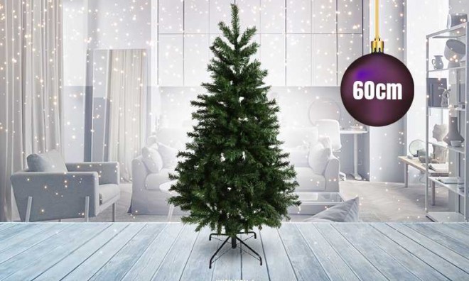 Nordmann 60 cm Karácsonyfa