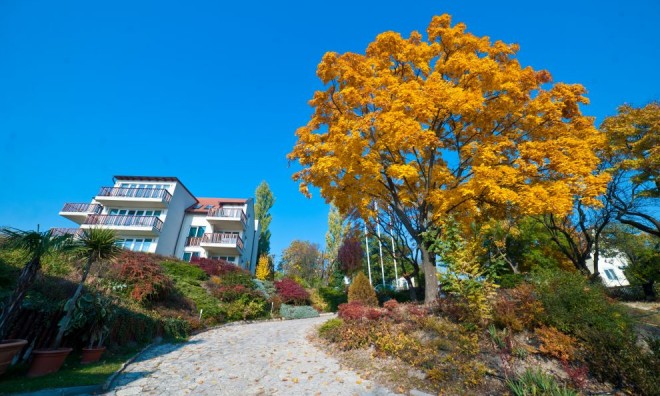 Luxus wellness Tihanyban 6