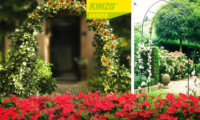 Kinzo rózsafuttató kapu 