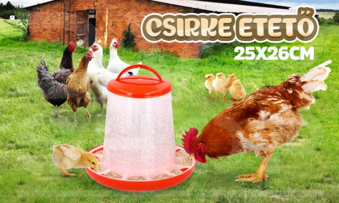 Csirke etető