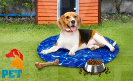 Pet Hűsítő zselés matrac
