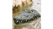 Távirányítós krokodilfej 2 - min