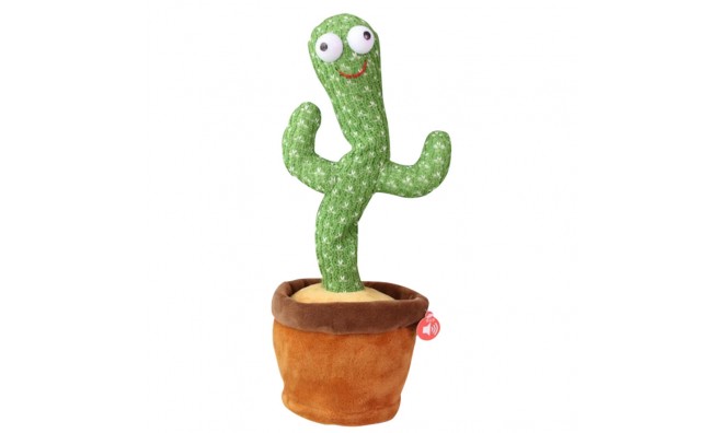 Interaktív kaktusz