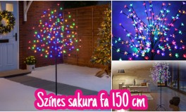 150cm Multicolor Sakura fa