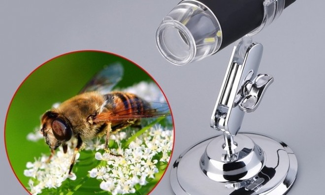 Digitális mikroszkóp kamera 6