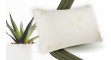 Aloe Vera párna 2 - min