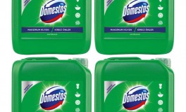 Domestos 4x3,24L Megapack