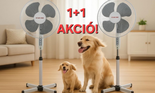 1+1 Energiahatékony álló ventilátor