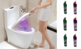 6 db Perlux WC gél 750 ml