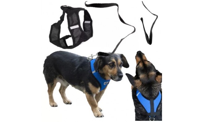 Nyomásmentes kutyahám pórázzal- XL 2