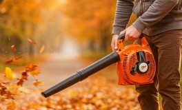 Boxer Benzines Lombfúvó