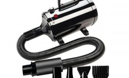 Professzionális Állatszárító