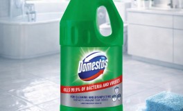 1+1 Domestos Professional Pine 