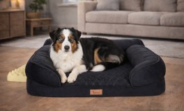 Ortopédiai fekhely állatoknak