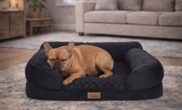 Ortopédiai fekhely állatoknak