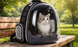 Macskahordozó hátizsák