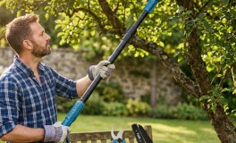 THO magassági ágvágó szett