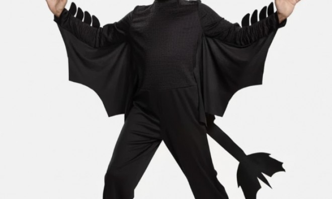 Így neveld a Sárkányodat jelmez