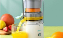 Elektromos gyümölcsfacsaró