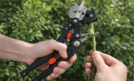 Professzionális metsző és oltóolló