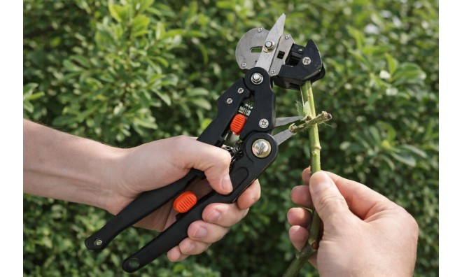 Professzionális metsző és oltóolló