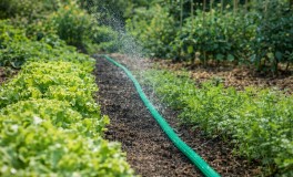 Kinzo sprinkler áztató locsolótömlő