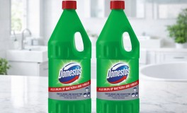 1+1 Domestos Pine Fresh 