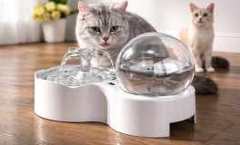 Intelligens macska vízadagoló