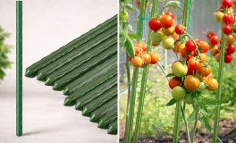 JohnGreen 10 db Paradicsomkaró