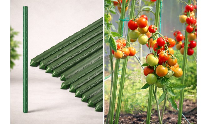 JohnGreen 10 db Paradicsomkaró