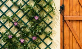 ProGarden növényfuttató rács 
