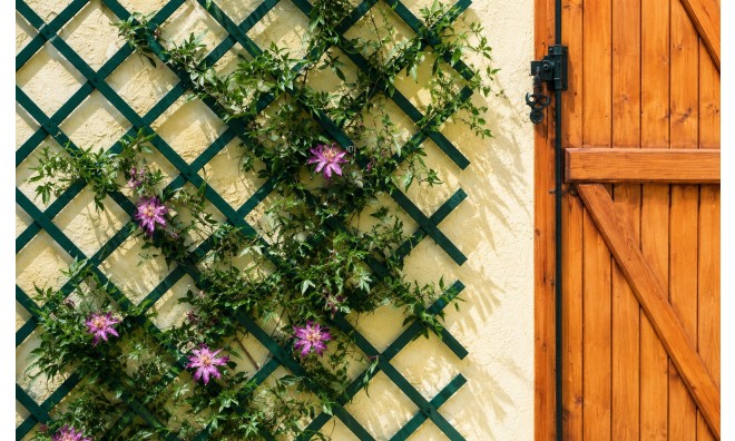 ProGarden növényfuttató rács 