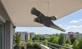 Galambriasztó műanyag sólyom