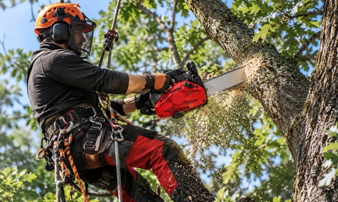 Benzinmotoros gallyazó láncfűrész 3.9 LE 4